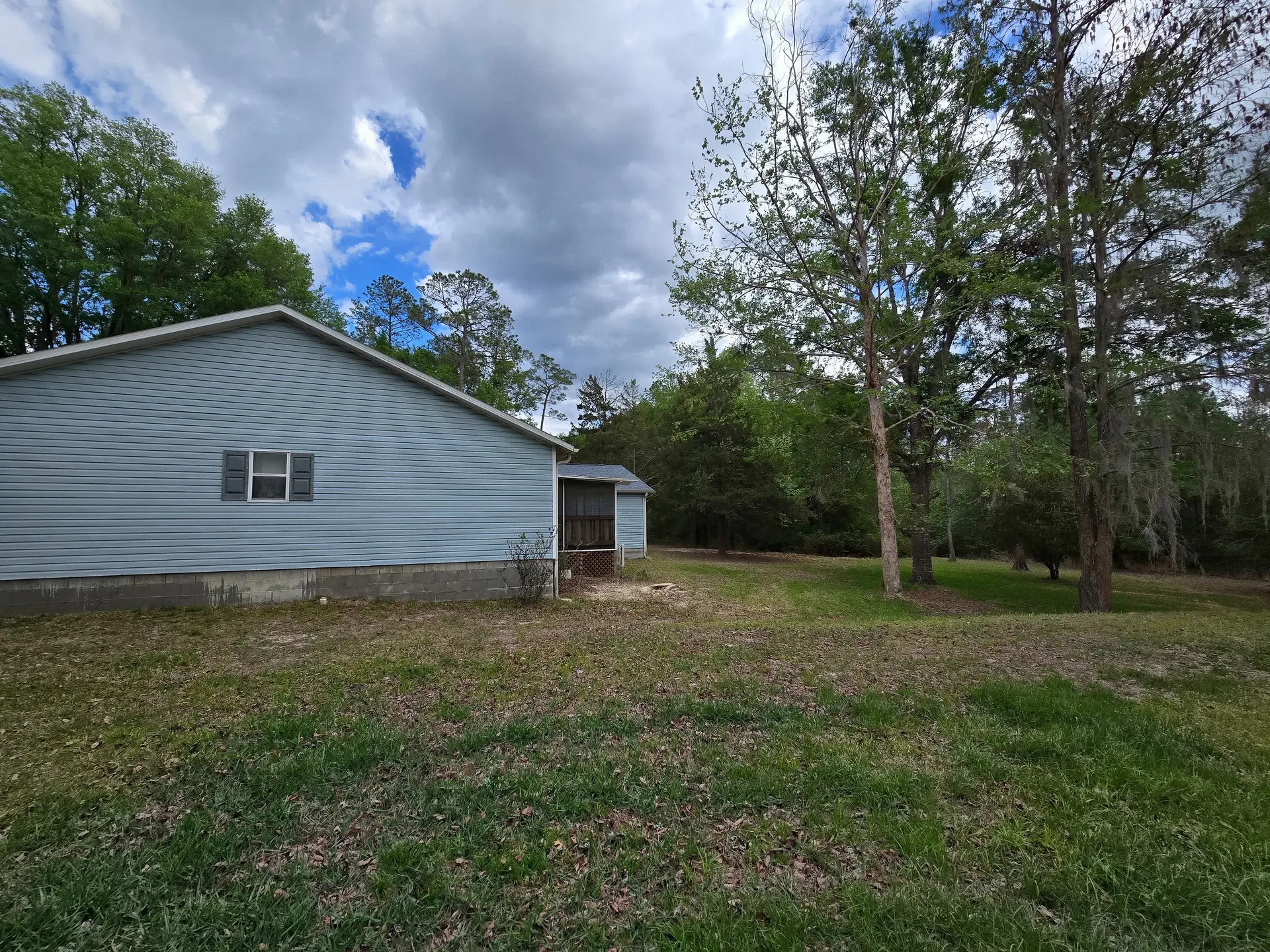 Home with large trees along the property line in North Central Florida