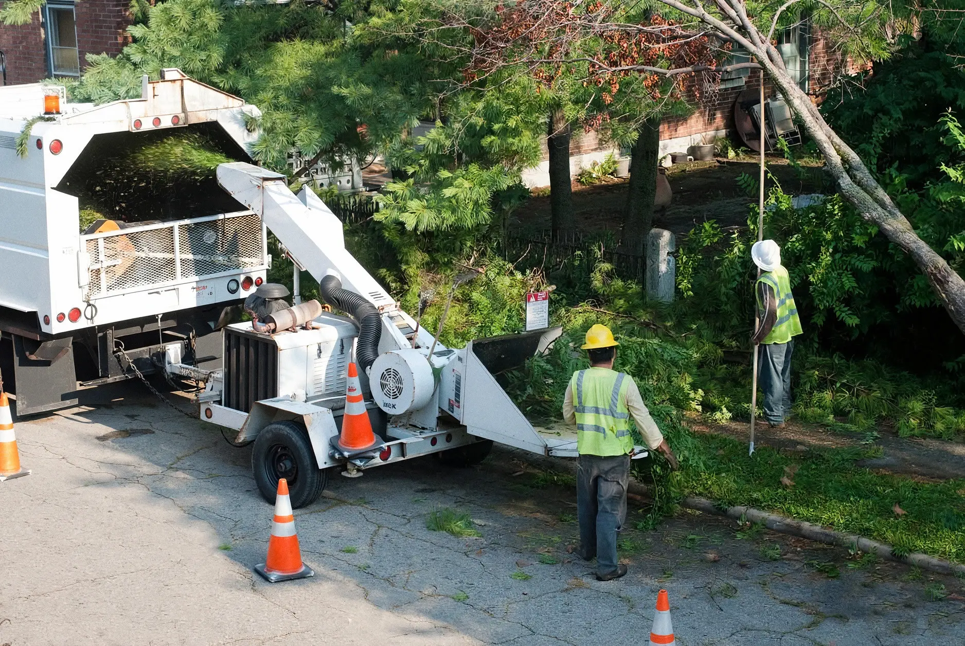 Tree crew feeding branches into a wood chipper behind a chip truck on a residential street